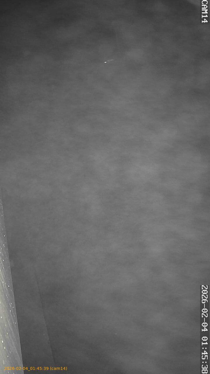 thumbnail_20260204014539