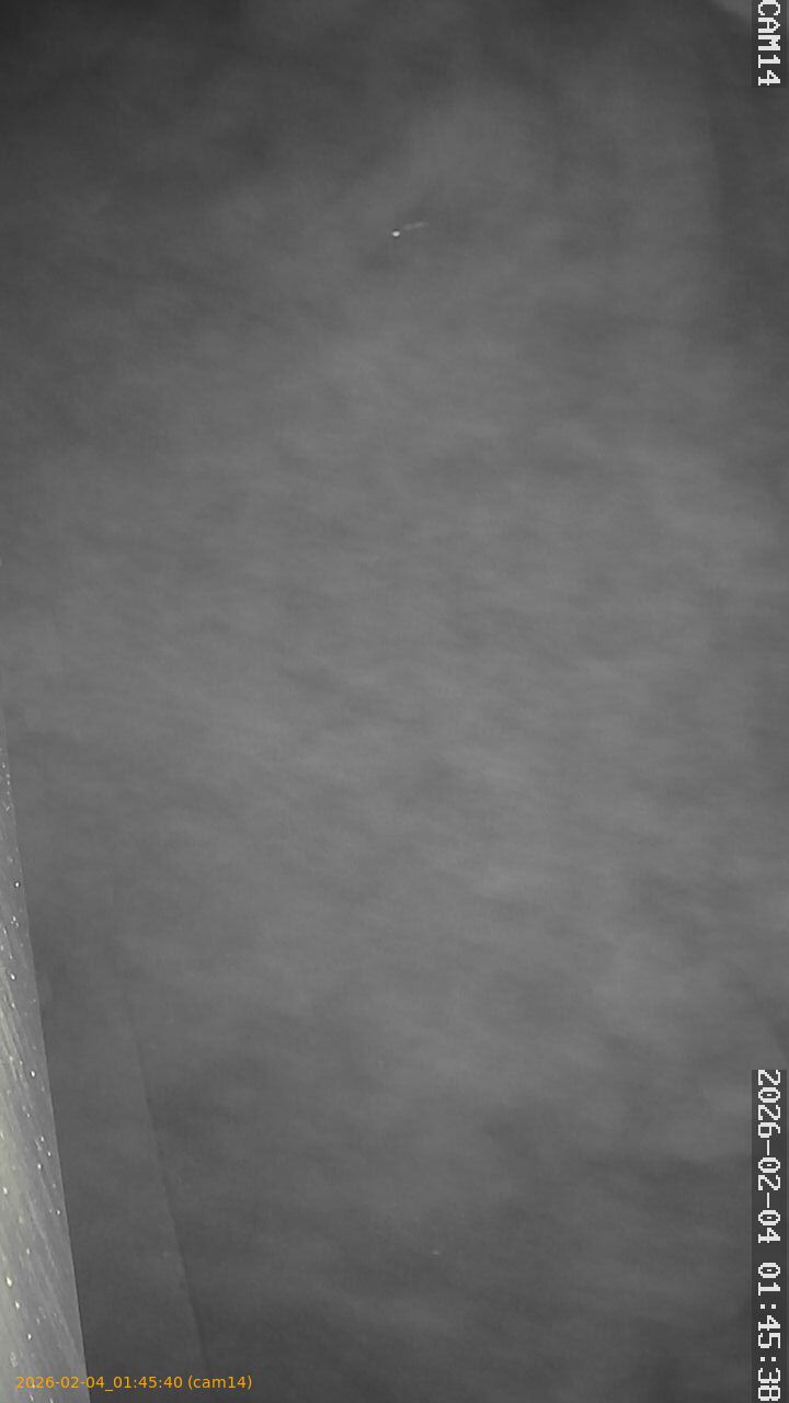 thumbnail_20260204014540