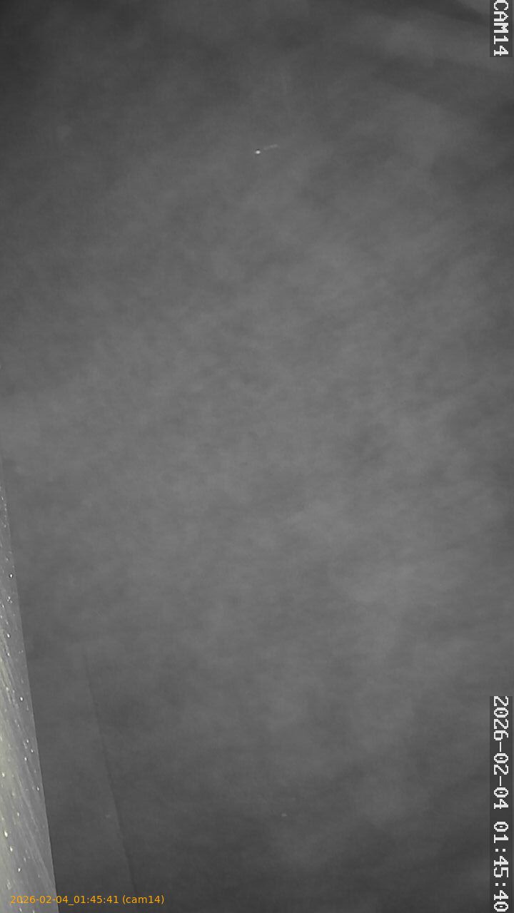 thumbnail_20260204014541