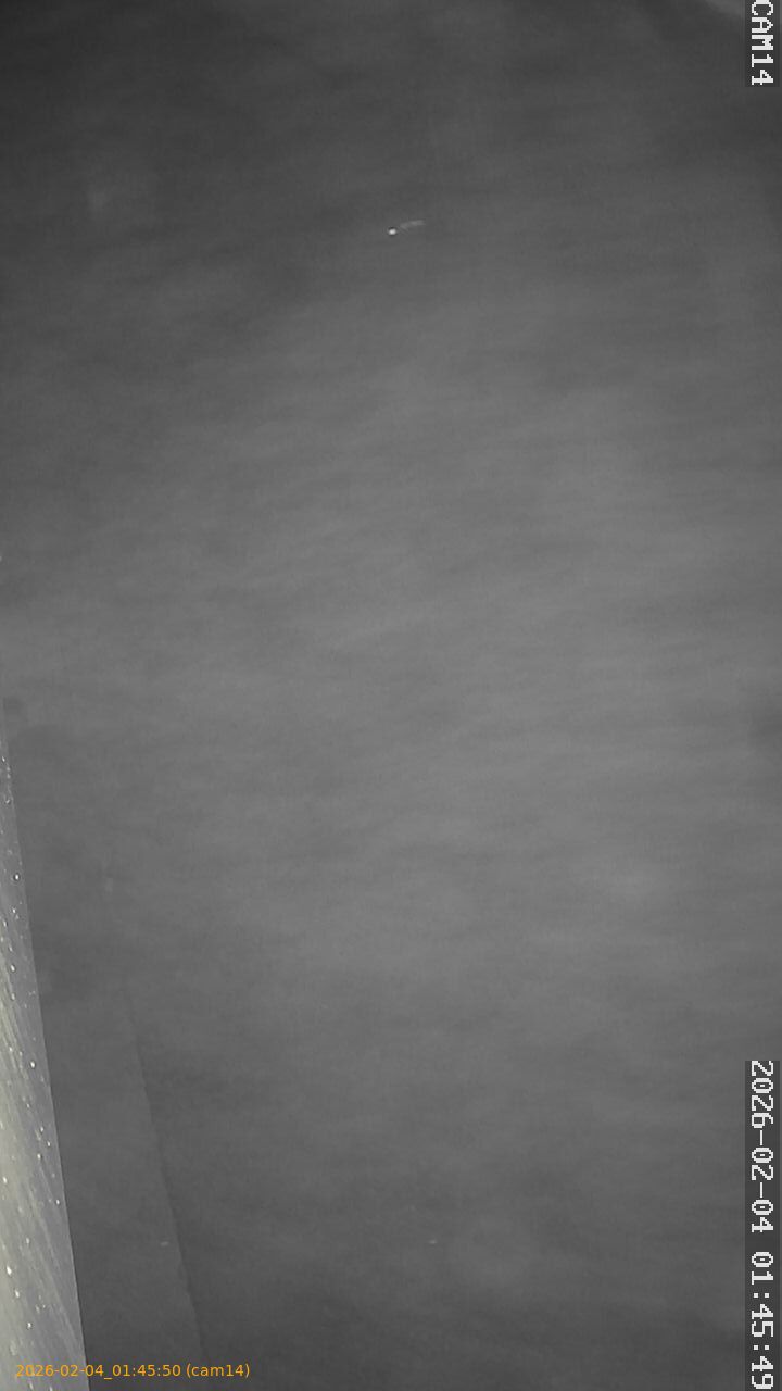 thumbnail_20260204014550