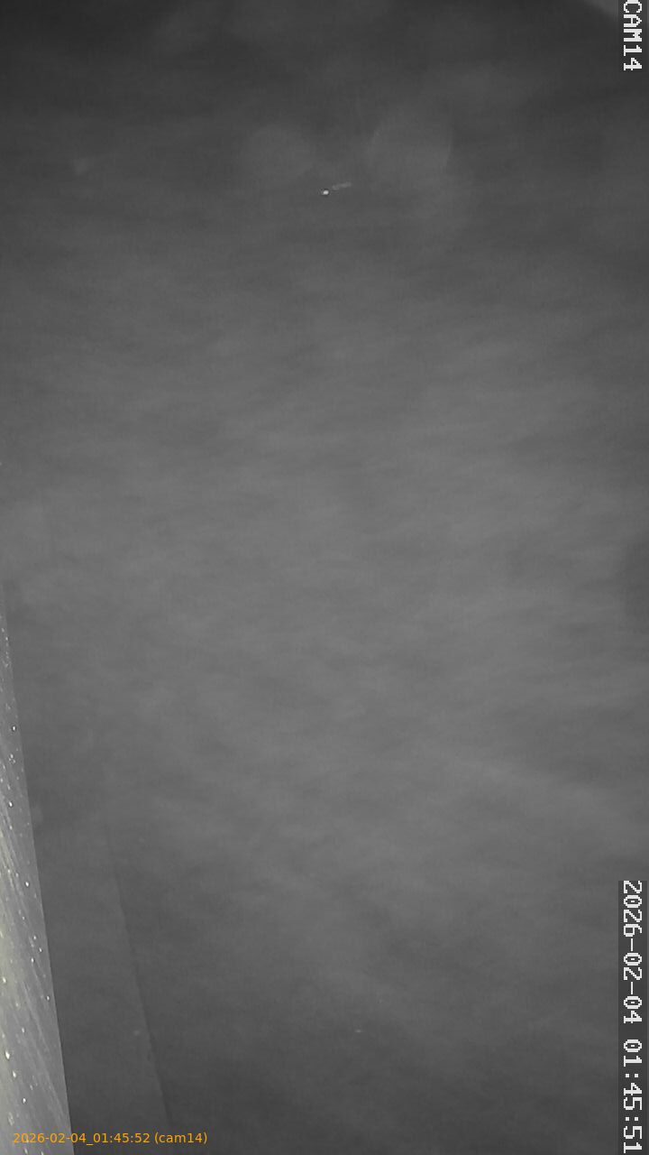 thumbnail_20260204014552