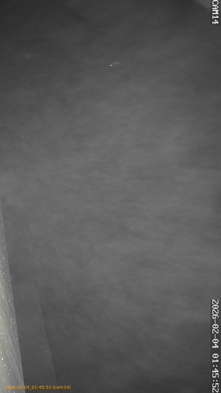 thumbnail_20260204014553