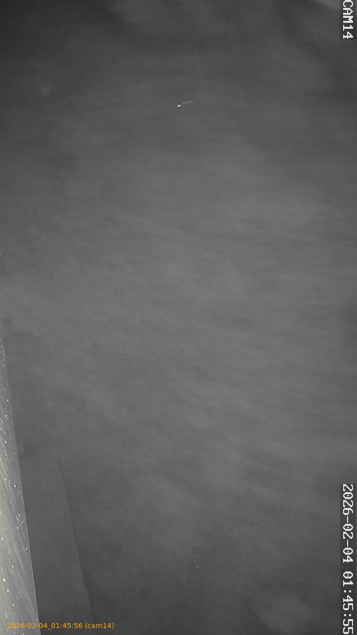 thumbnail_20260204014556