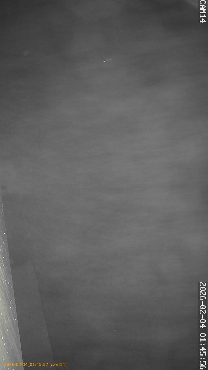 thumbnail_20260204014557