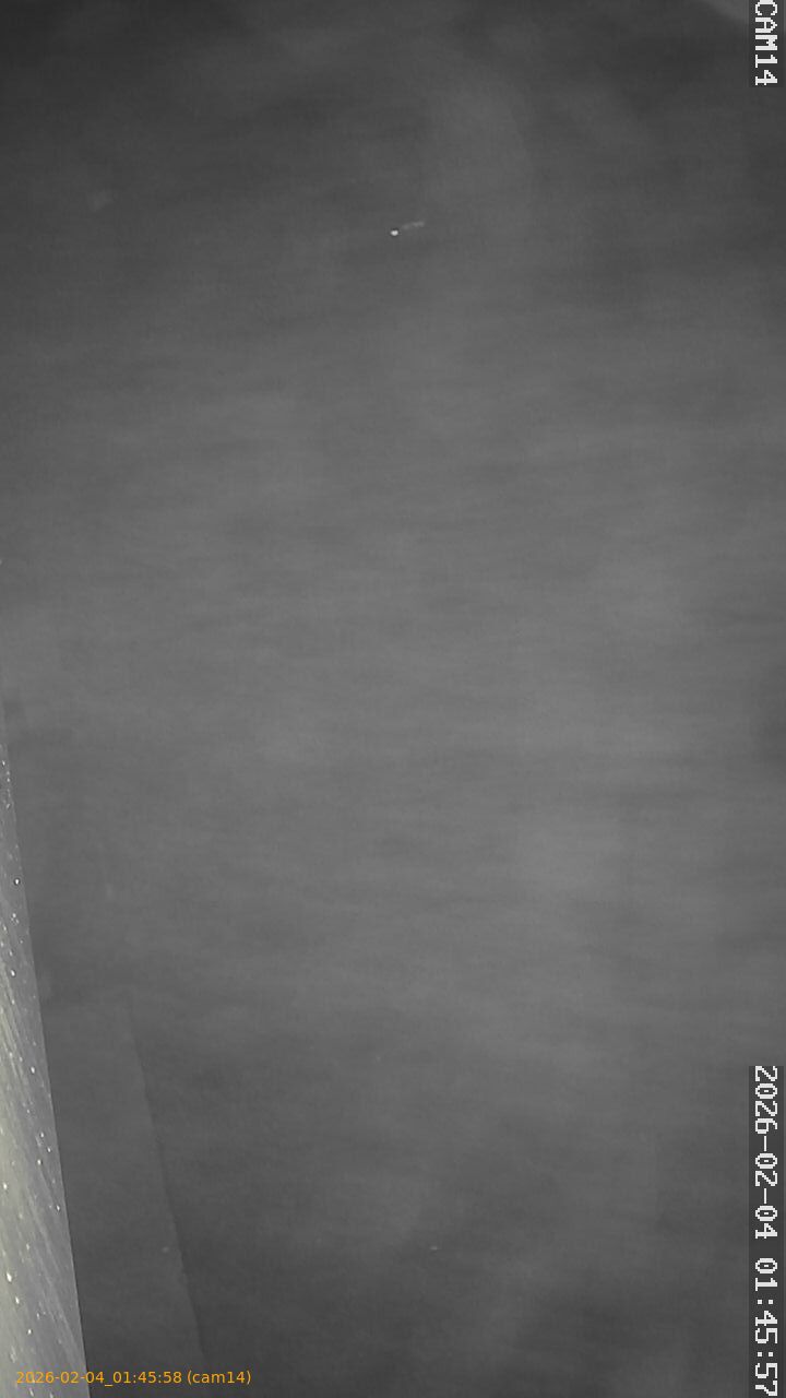 thumbnail_20260204014558