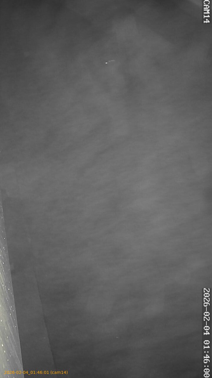 thumbnail_20260204014601