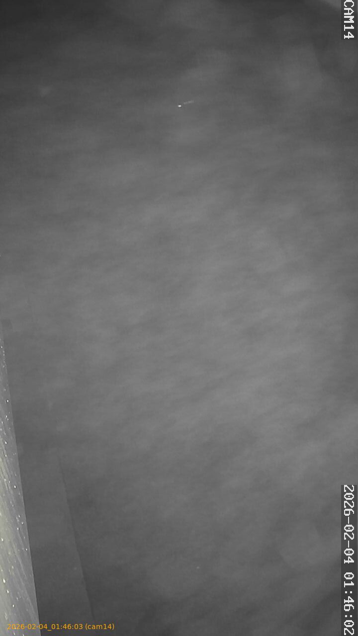 thumbnail_20260204014603