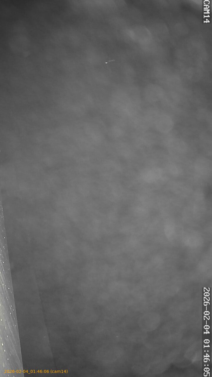 thumbnail_20260204014606