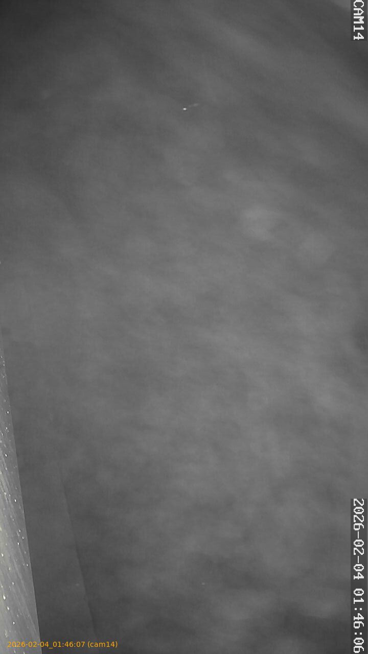 thumbnail_20260204014607