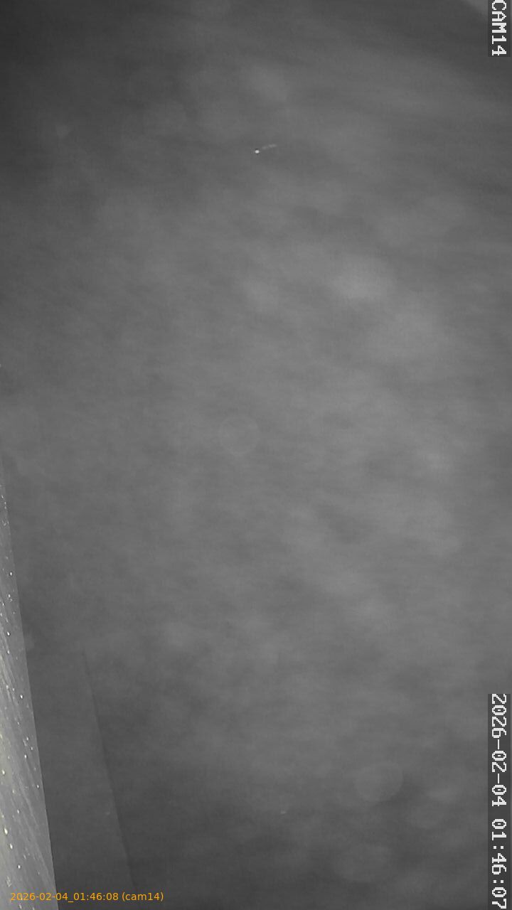 thumbnail_20260204014608