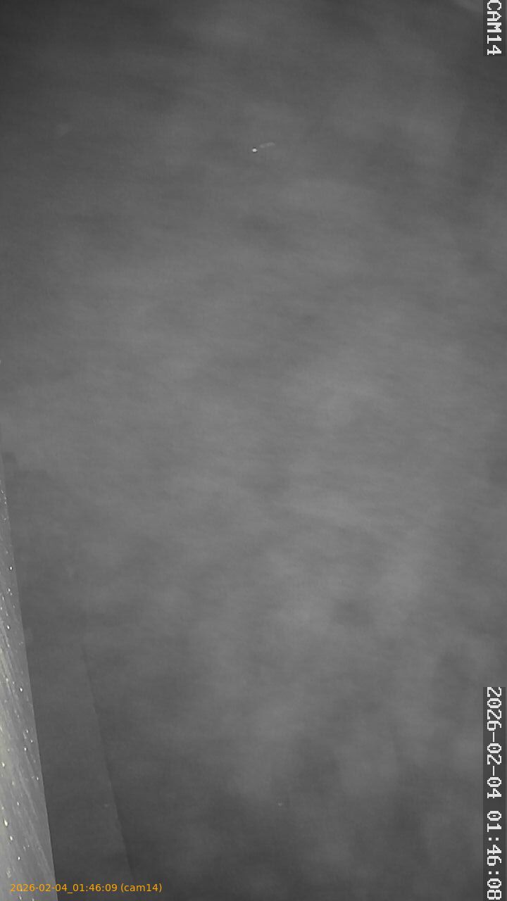 thumbnail_20260204014609