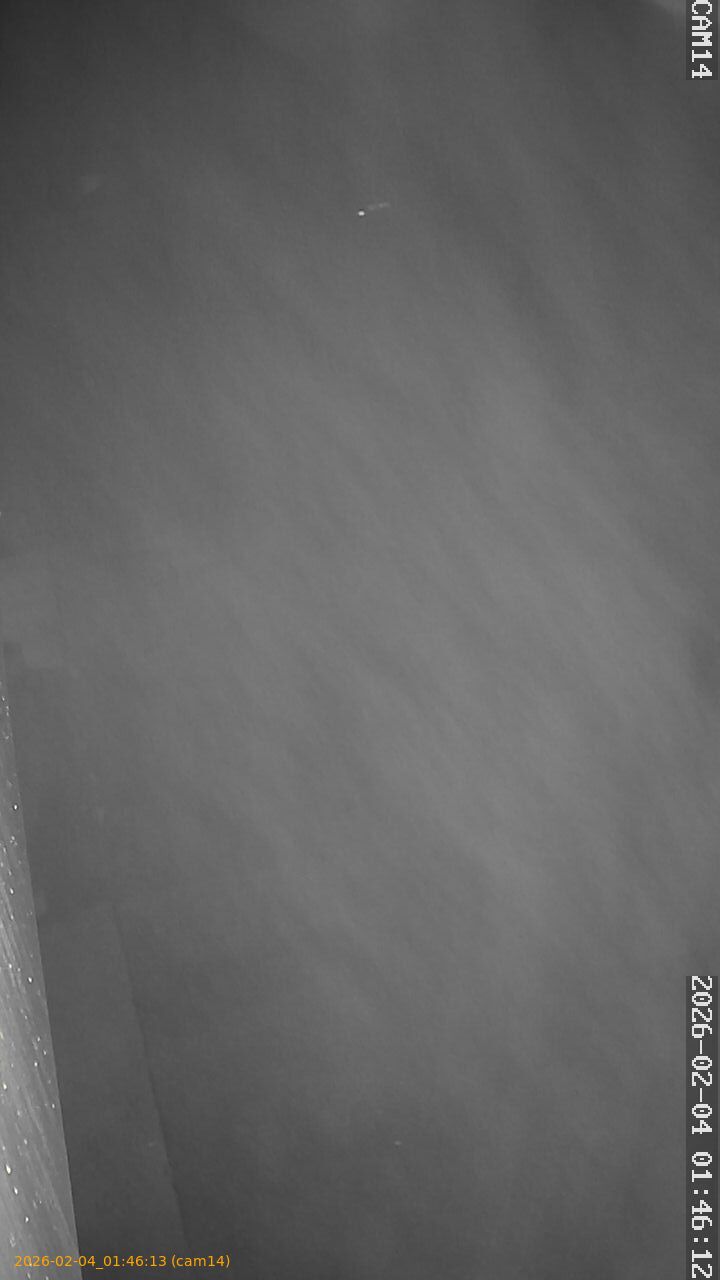 thumbnail_20260204014613