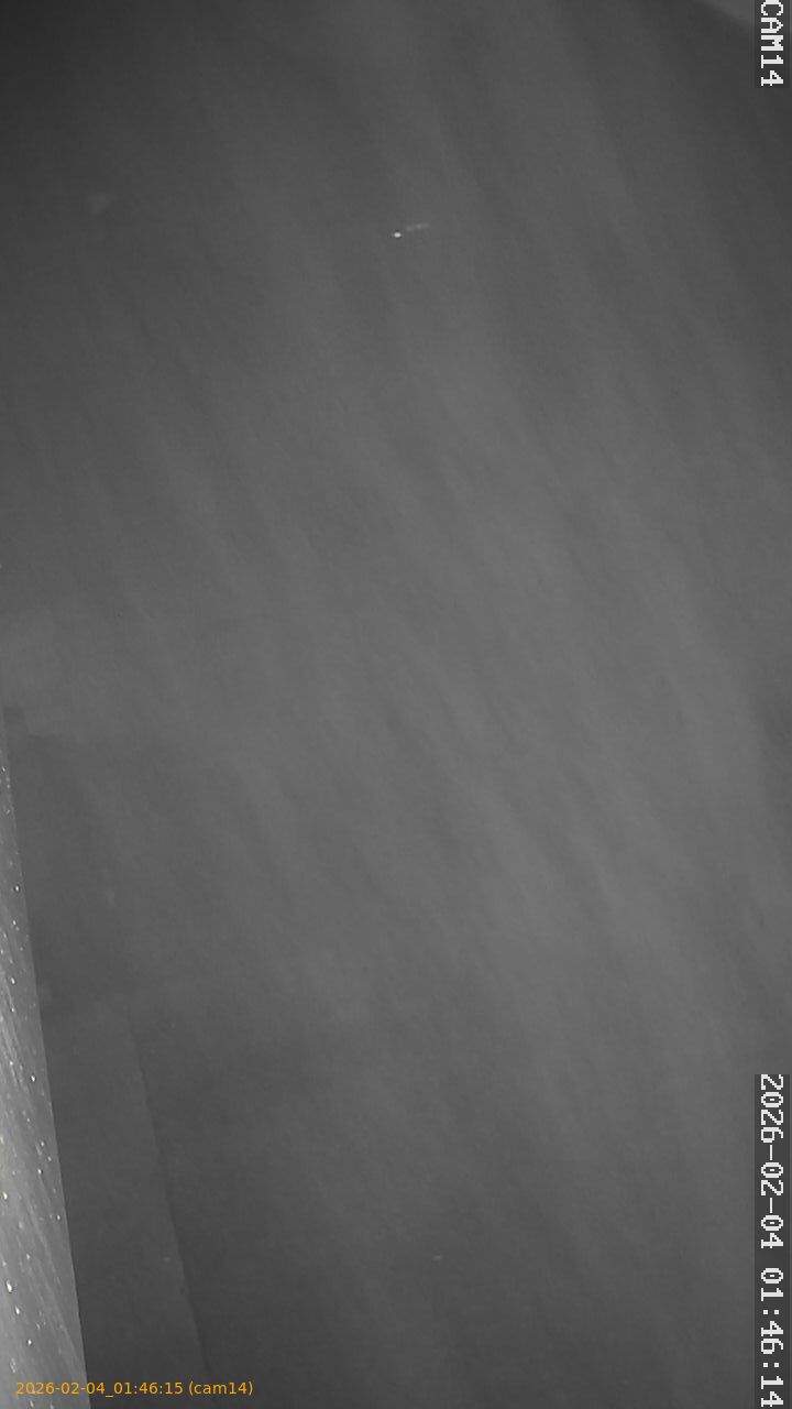 thumbnail_20260204014615