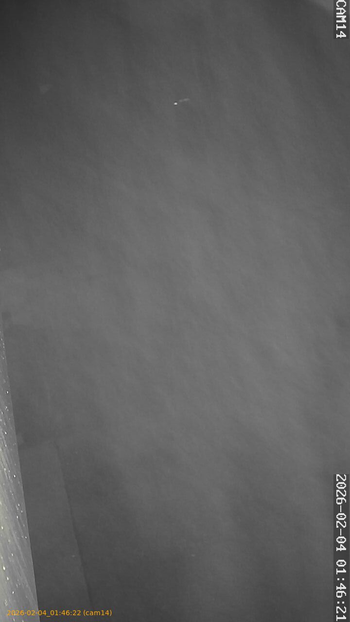 thumbnail_20260204014622