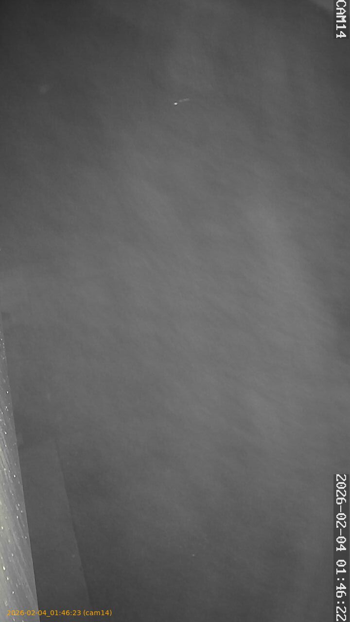 thumbnail_20260204014623