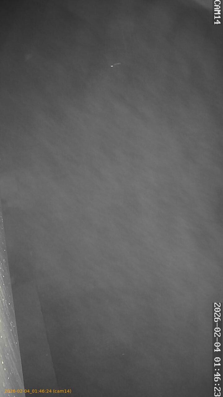 thumbnail_20260204014624