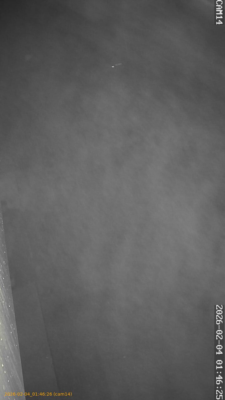 thumbnail_20260204014626