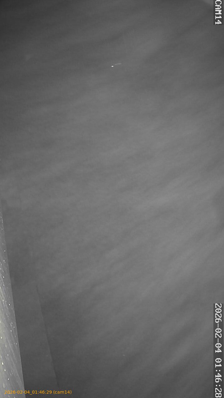 thumbnail_20260204014629