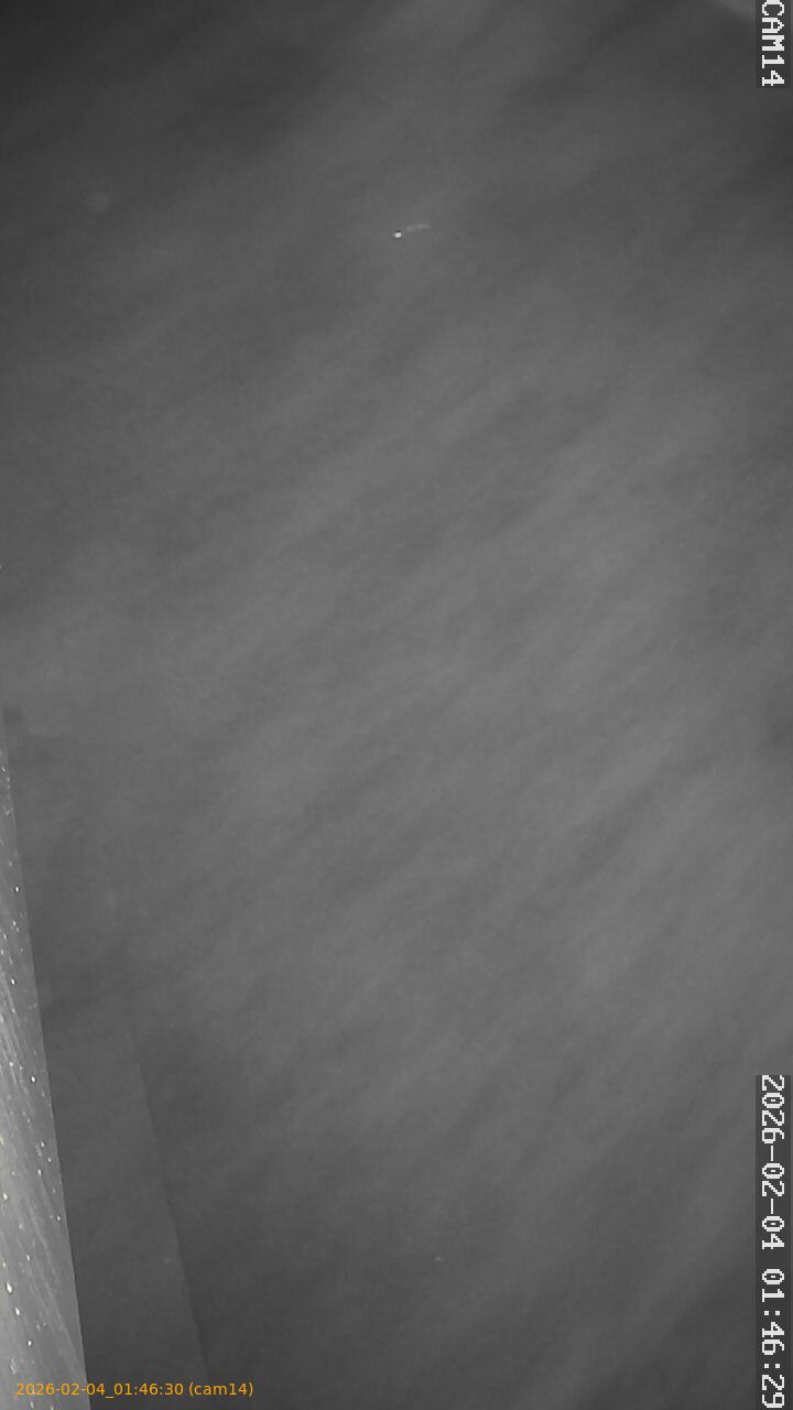 thumbnail_20260204014630