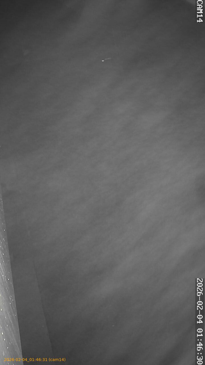 thumbnail_20260204014631