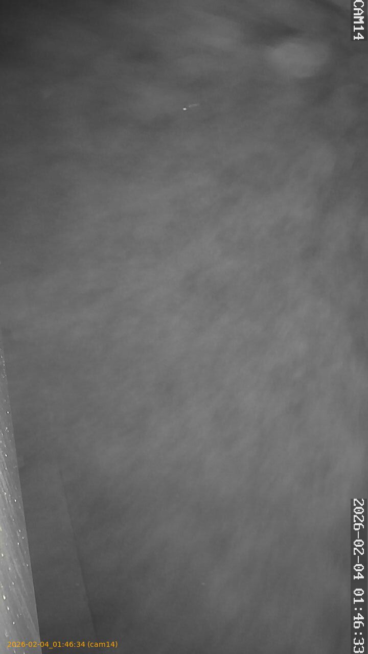 thumbnail_20260204014634