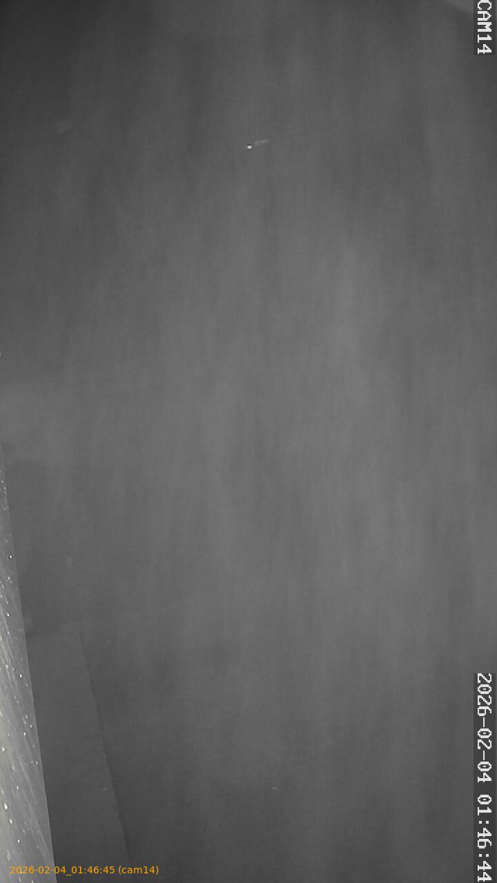 thumbnail_20260204014645