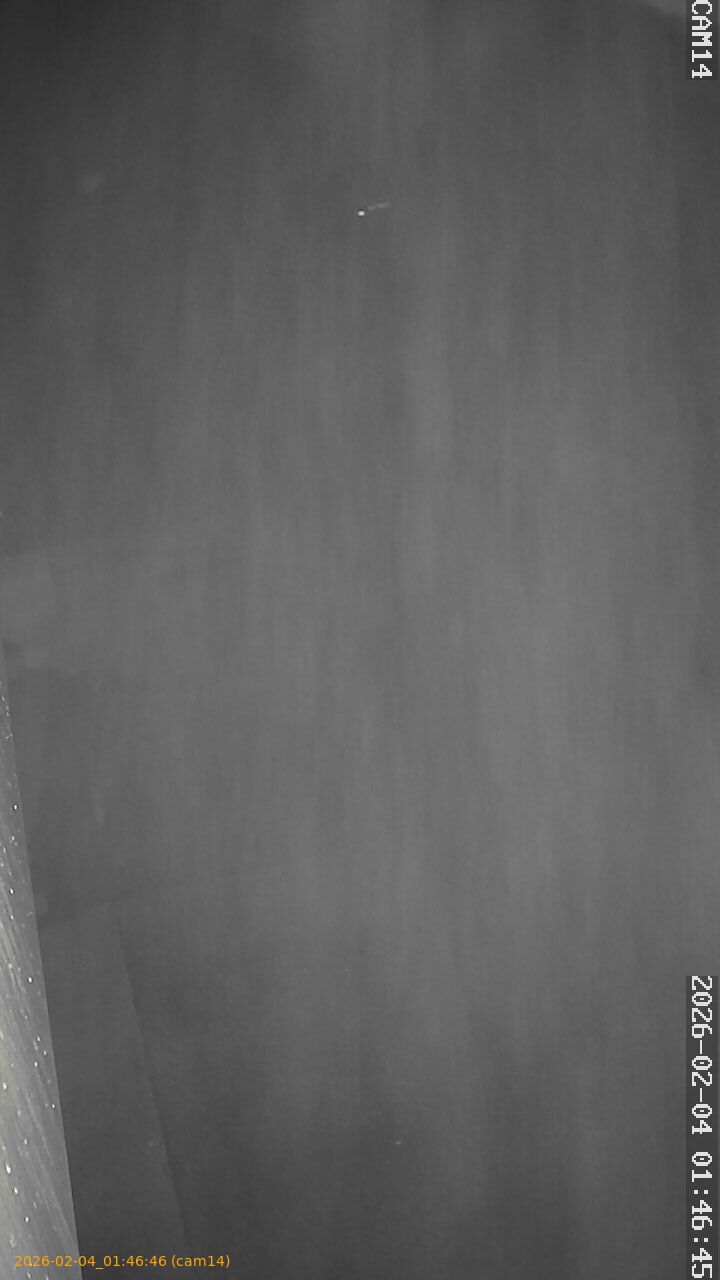 thumbnail_20260204014646