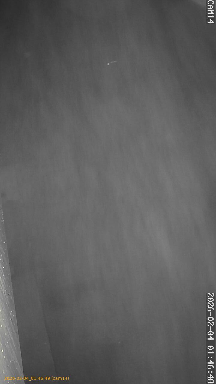 thumbnail_20260204014649