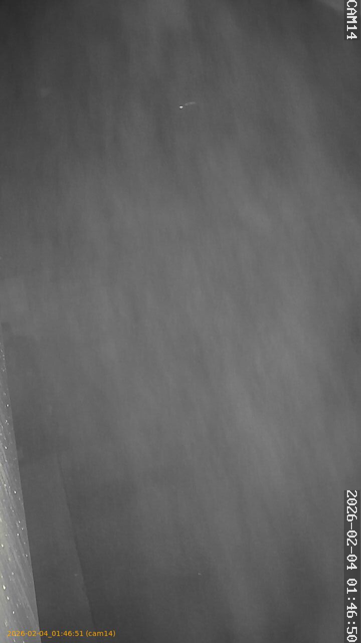 thumbnail_20260204014651