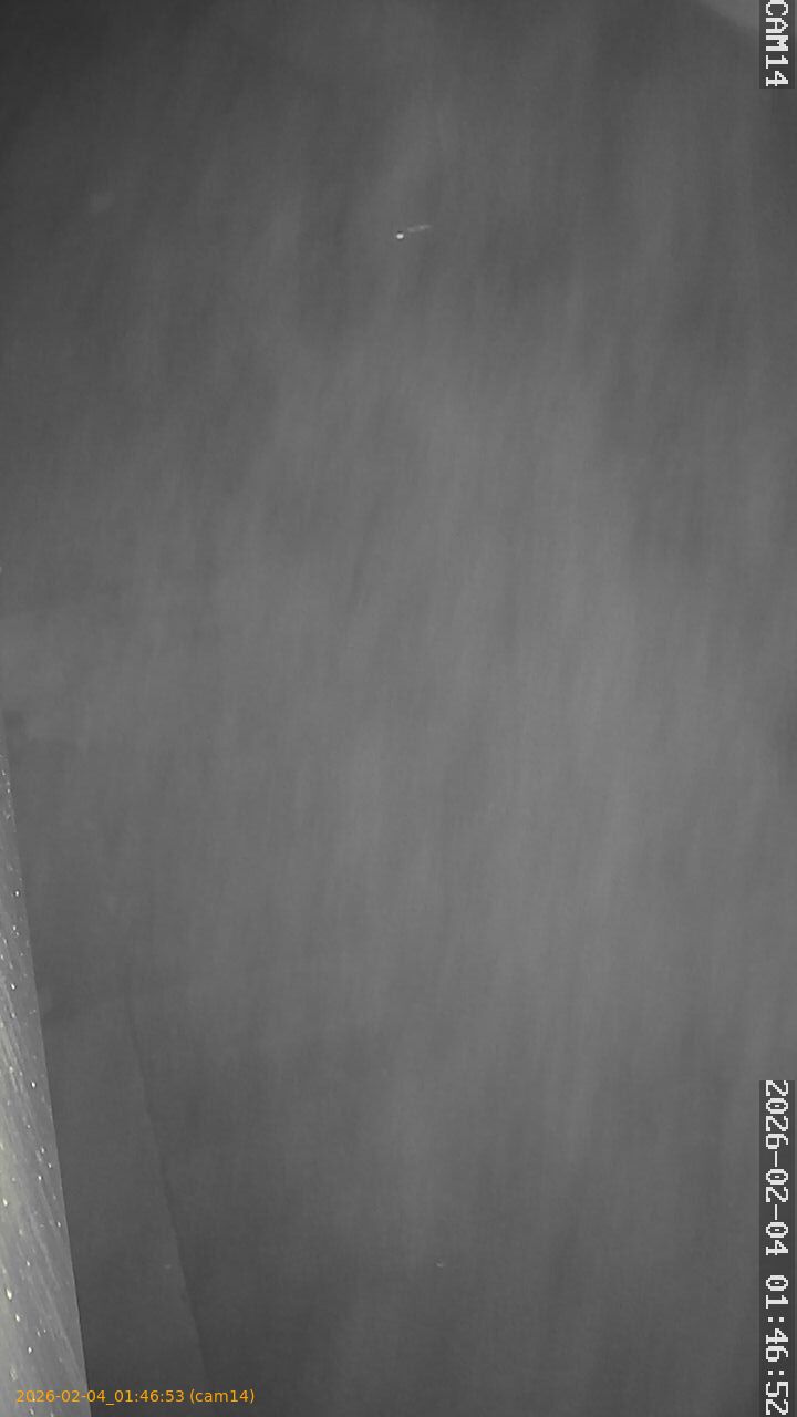 thumbnail_20260204014653