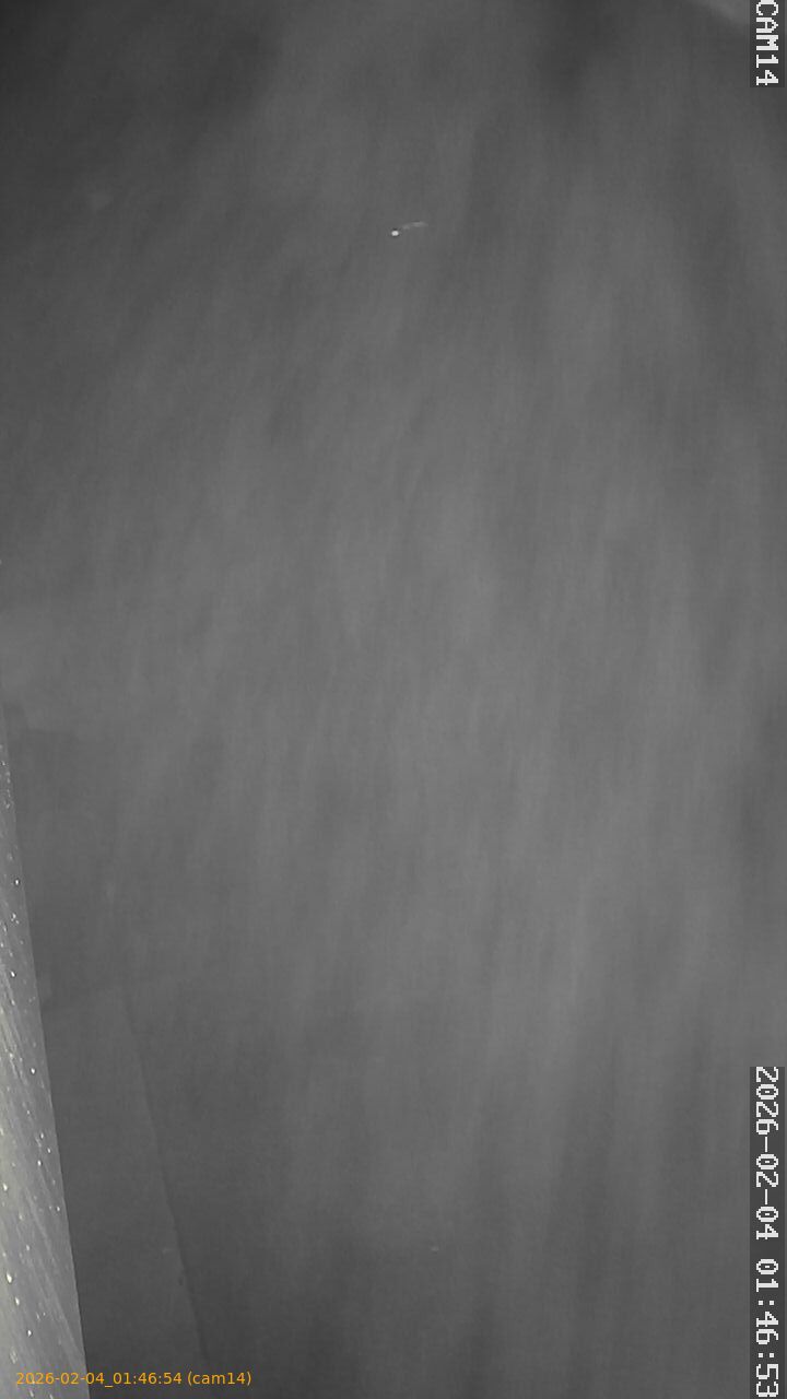 thumbnail_20260204014654