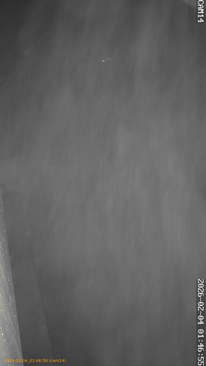 thumbnail_20260204014656