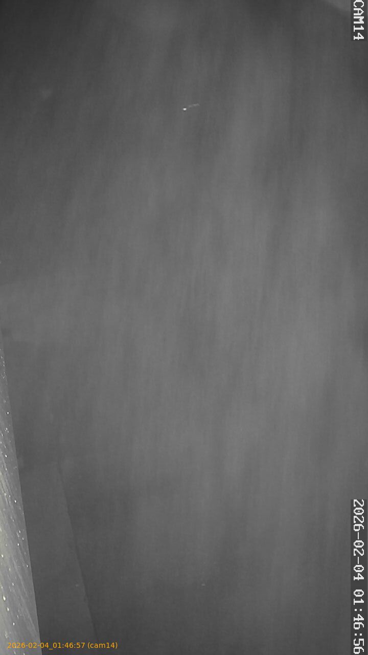 thumbnail_20260204014657