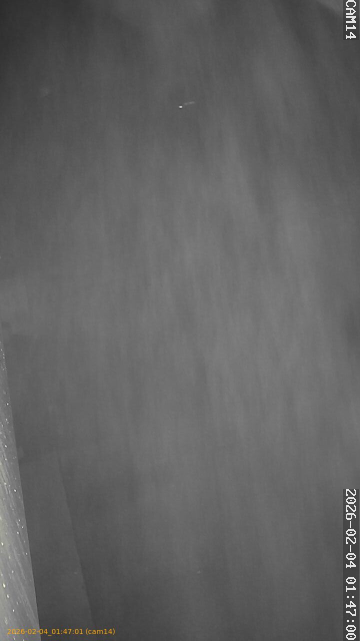 thumbnail_20260204014701