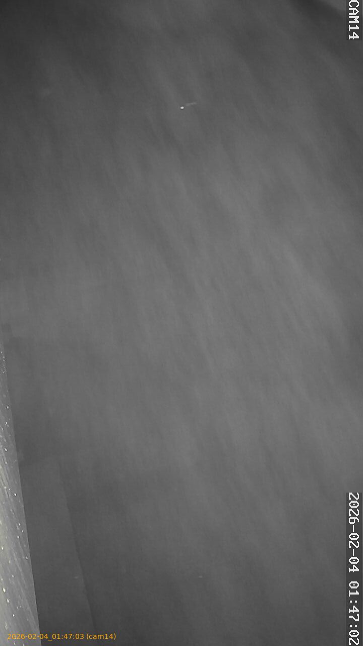 thumbnail_20260204014703