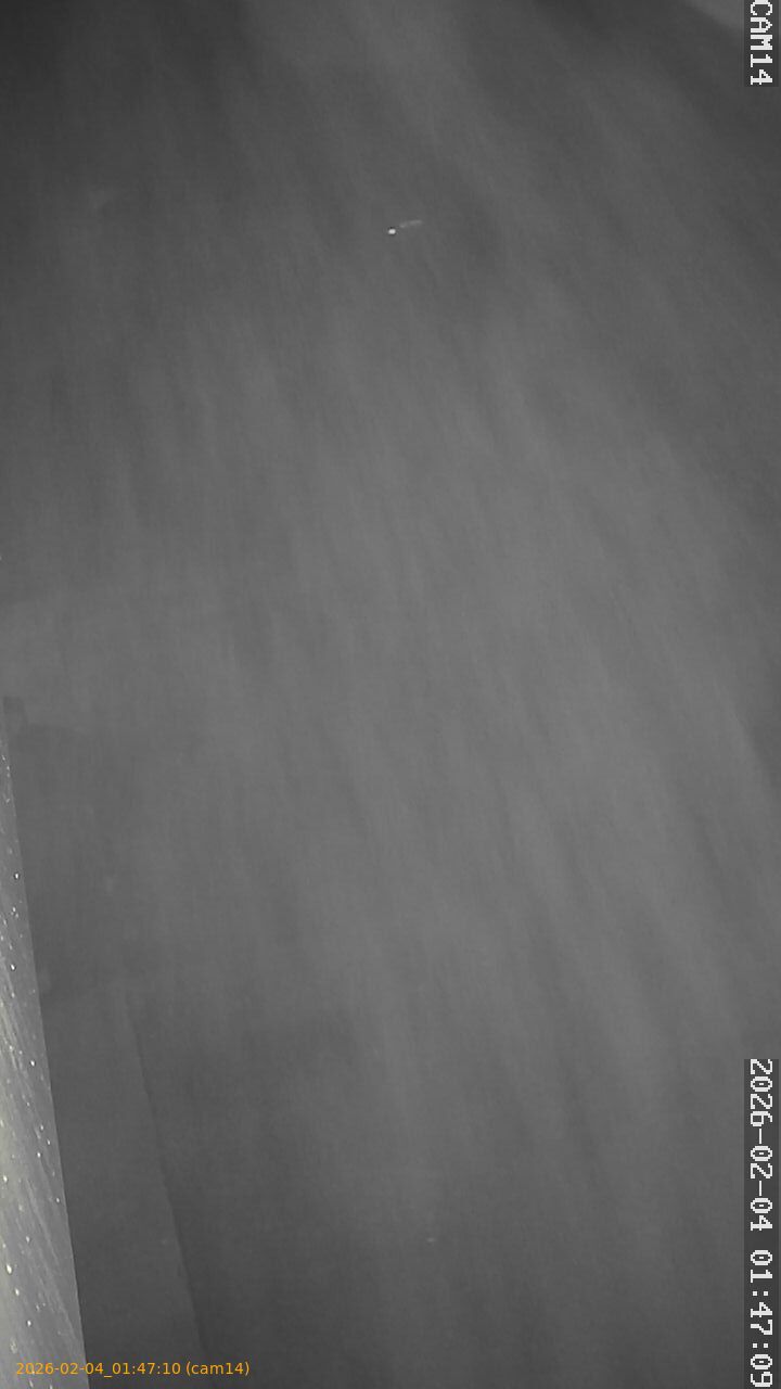 thumbnail_20260204014710