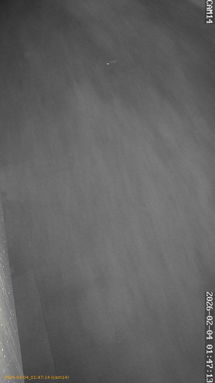 thumbnail_20260204014714