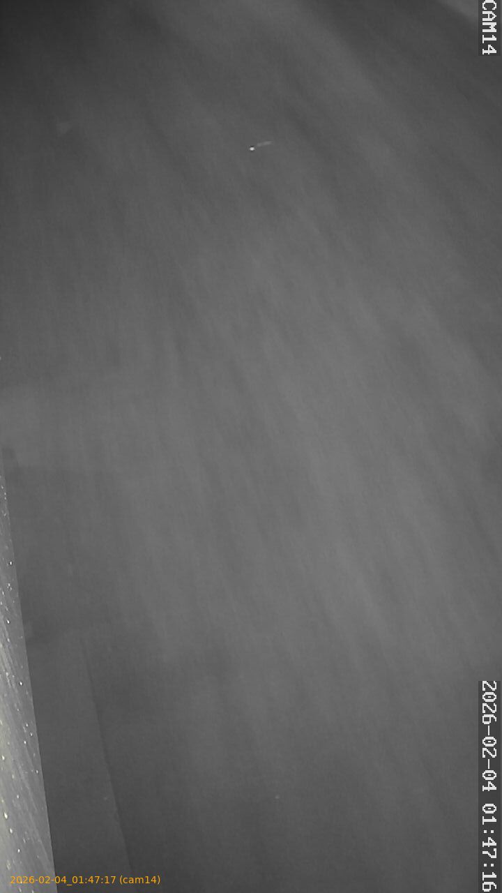 thumbnail_20260204014717