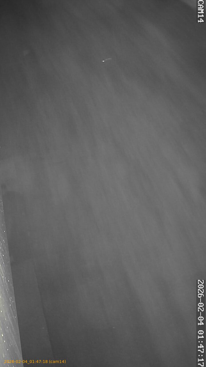 thumbnail_20260204014718