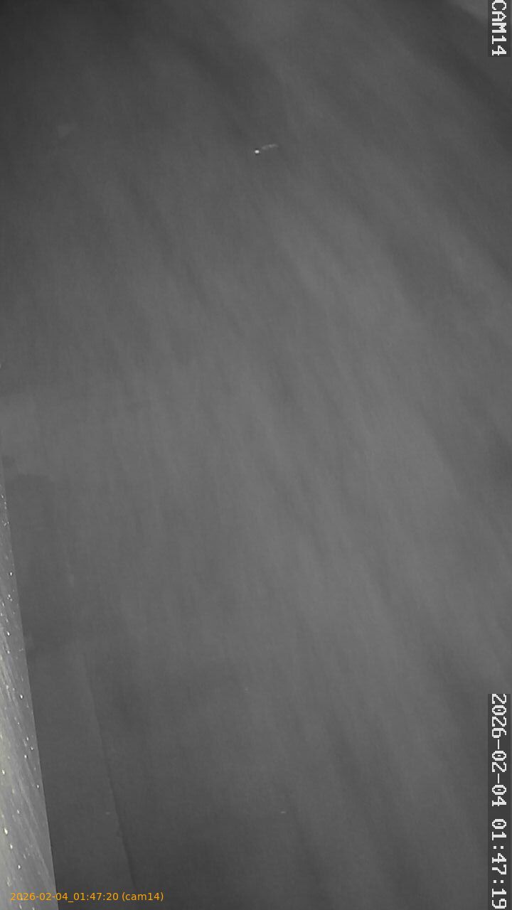 thumbnail_20260204014720