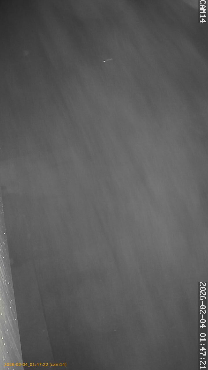 thumbnail_20260204014722