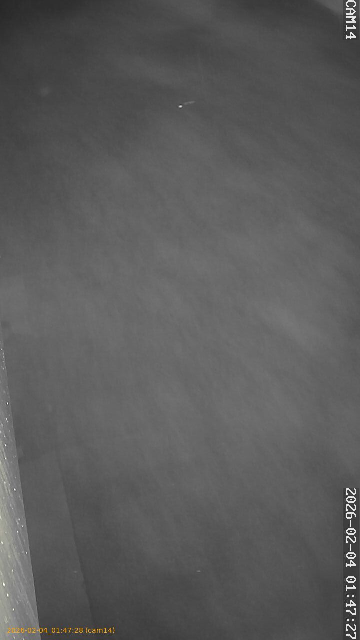 thumbnail_20260204014728