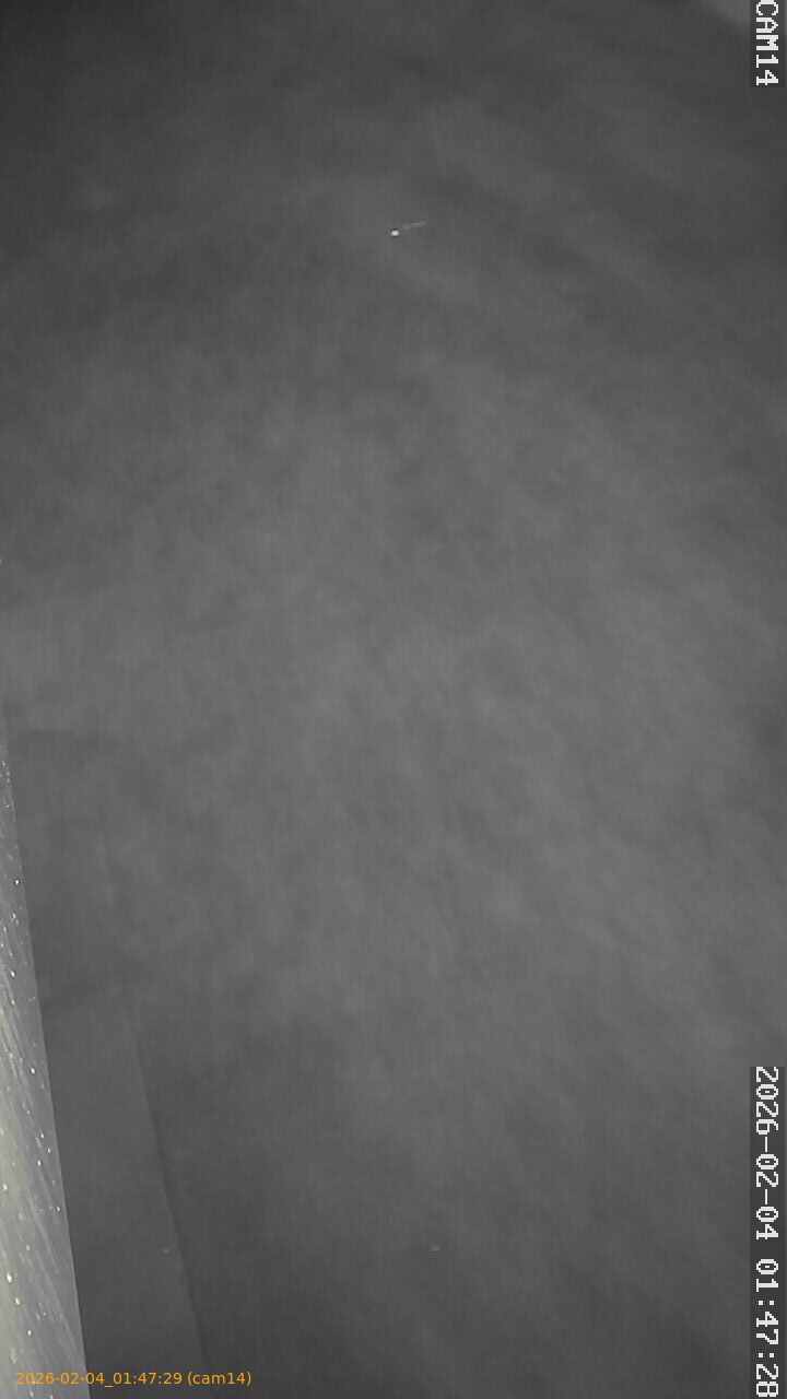 thumbnail_20260204014729