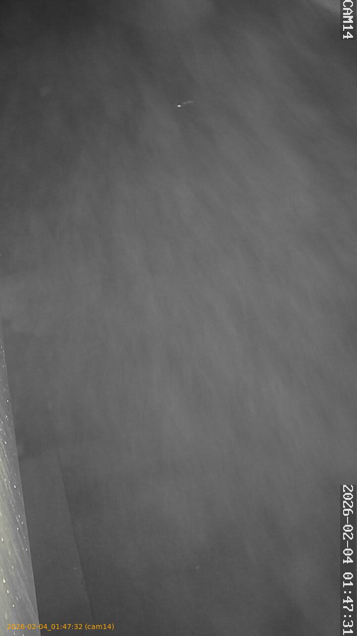 thumbnail_20260204014732