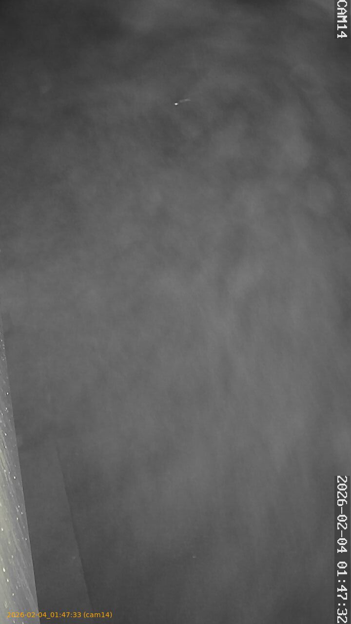 thumbnail_20260204014733