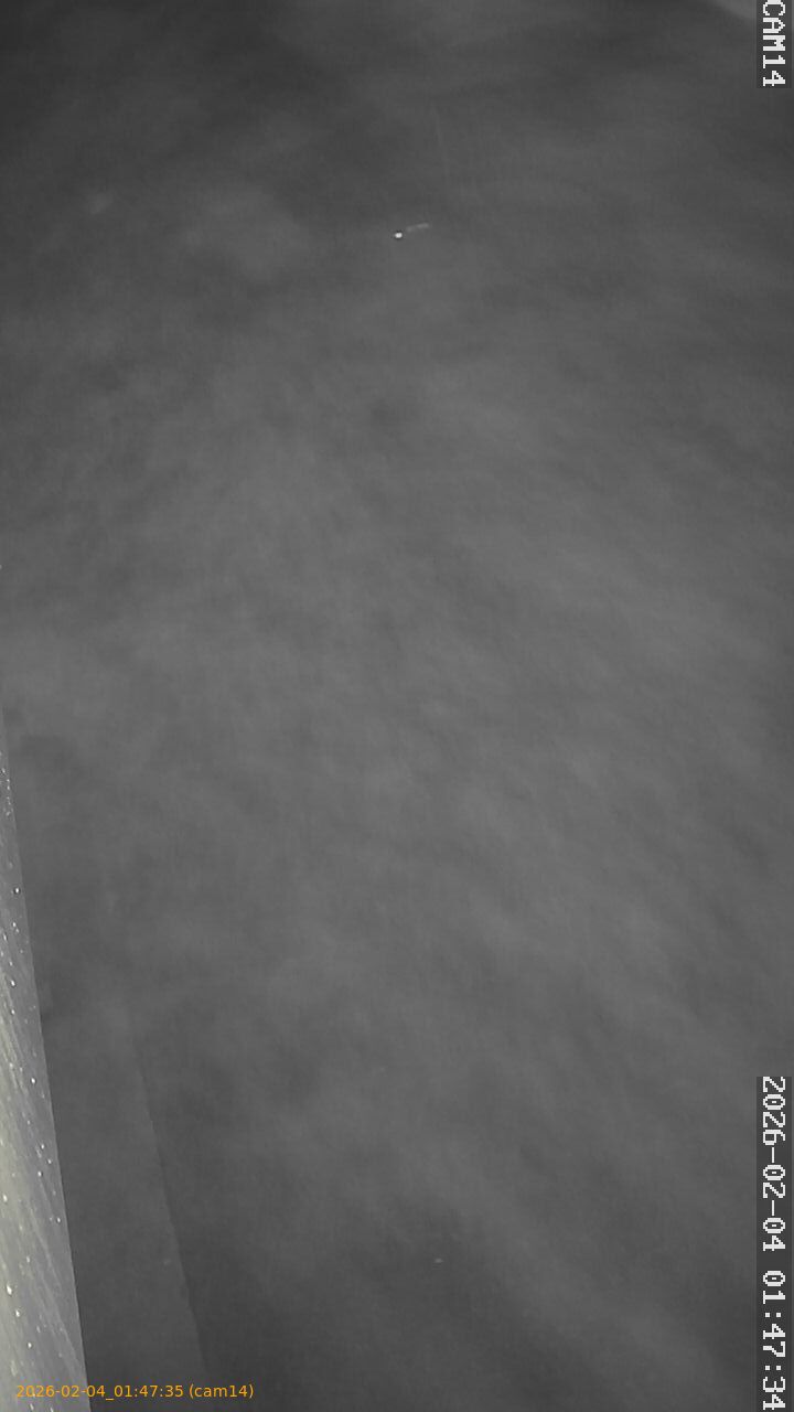 thumbnail_20260204014735