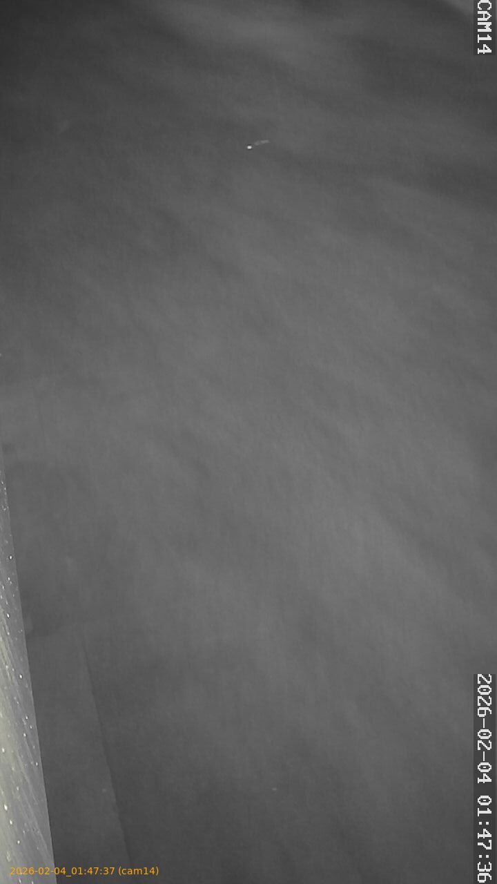 thumbnail_20260204014737