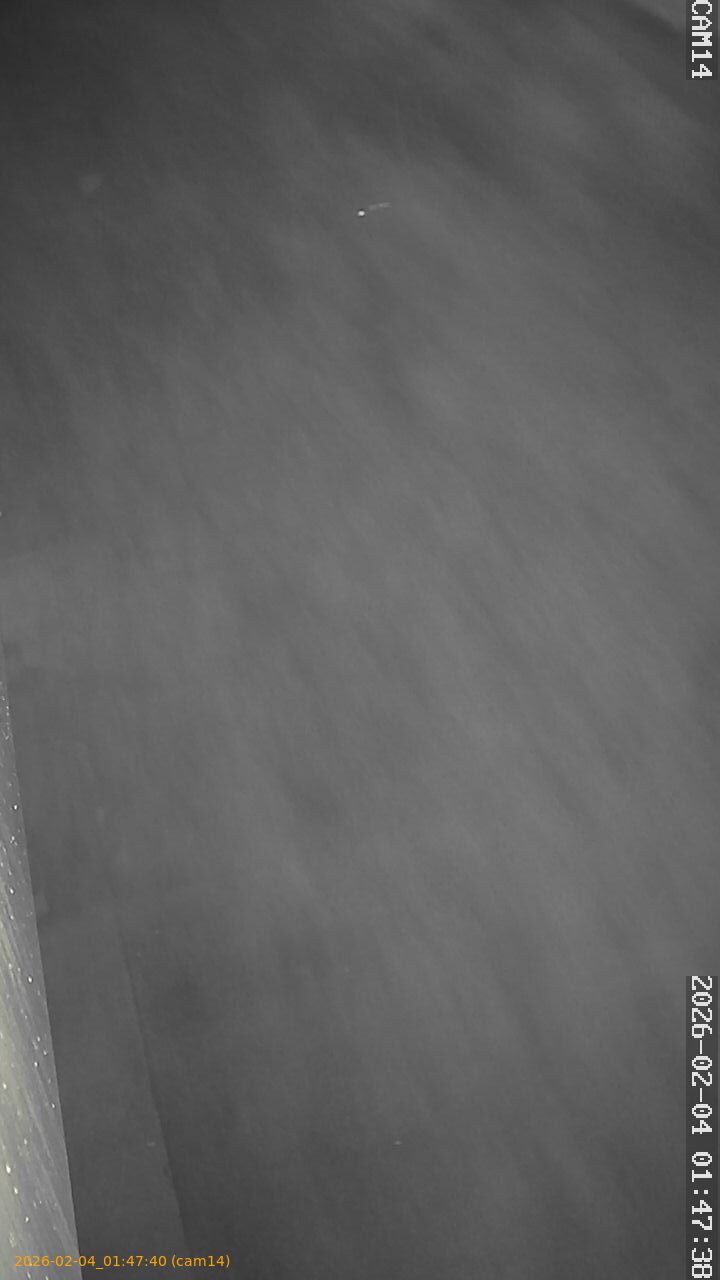 thumbnail_20260204014739