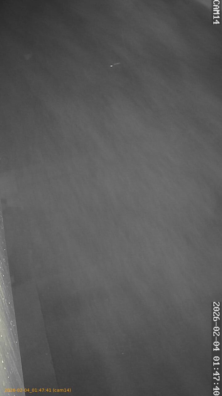 thumbnail_20260204014741