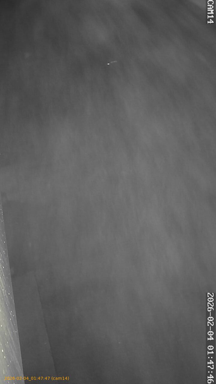 thumbnail_20260204014747